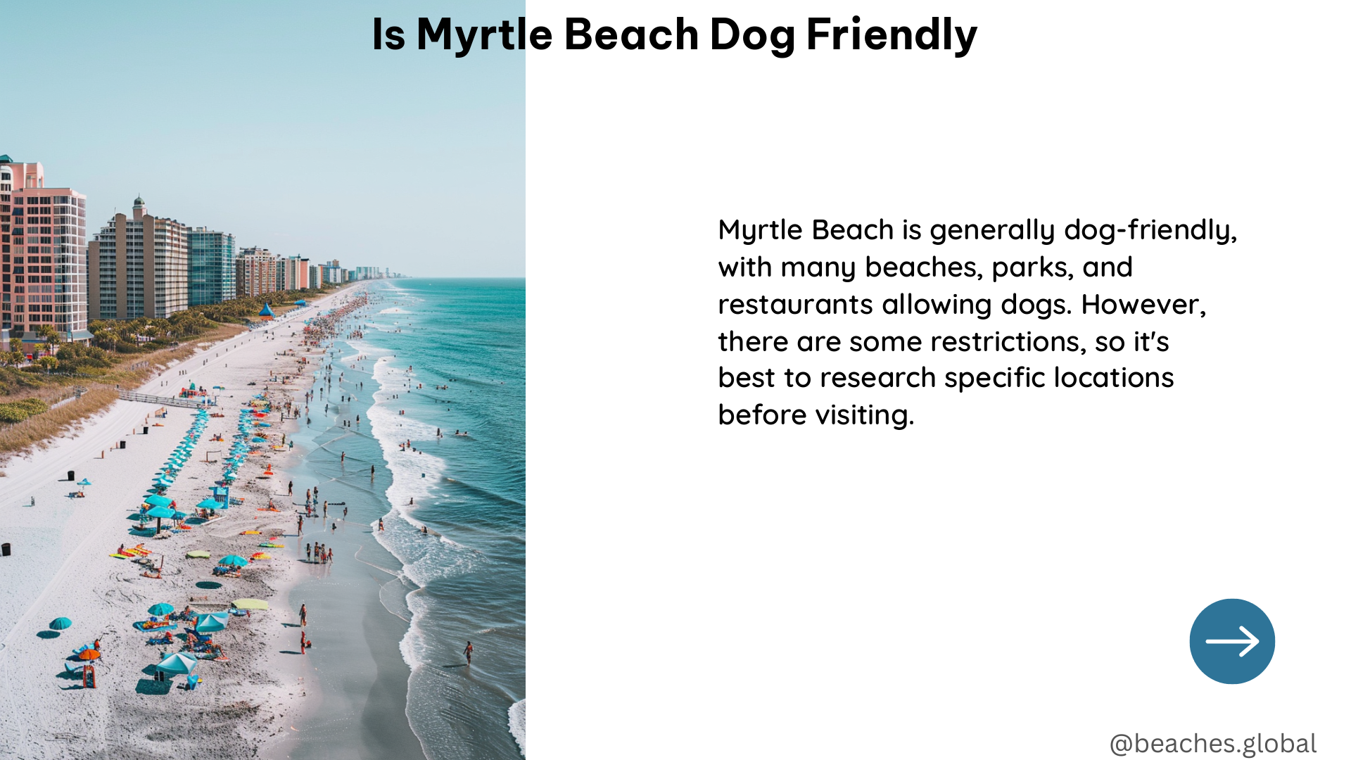 is myrtle beach dog friendly