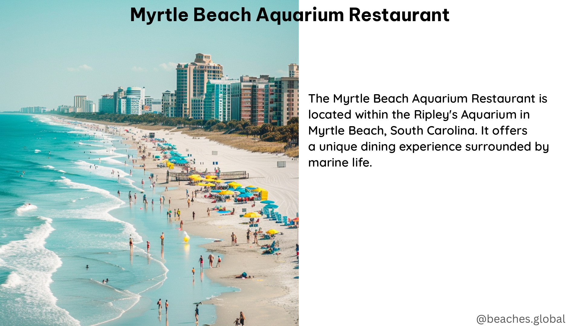 myrtle beach aquarium restaurant 1