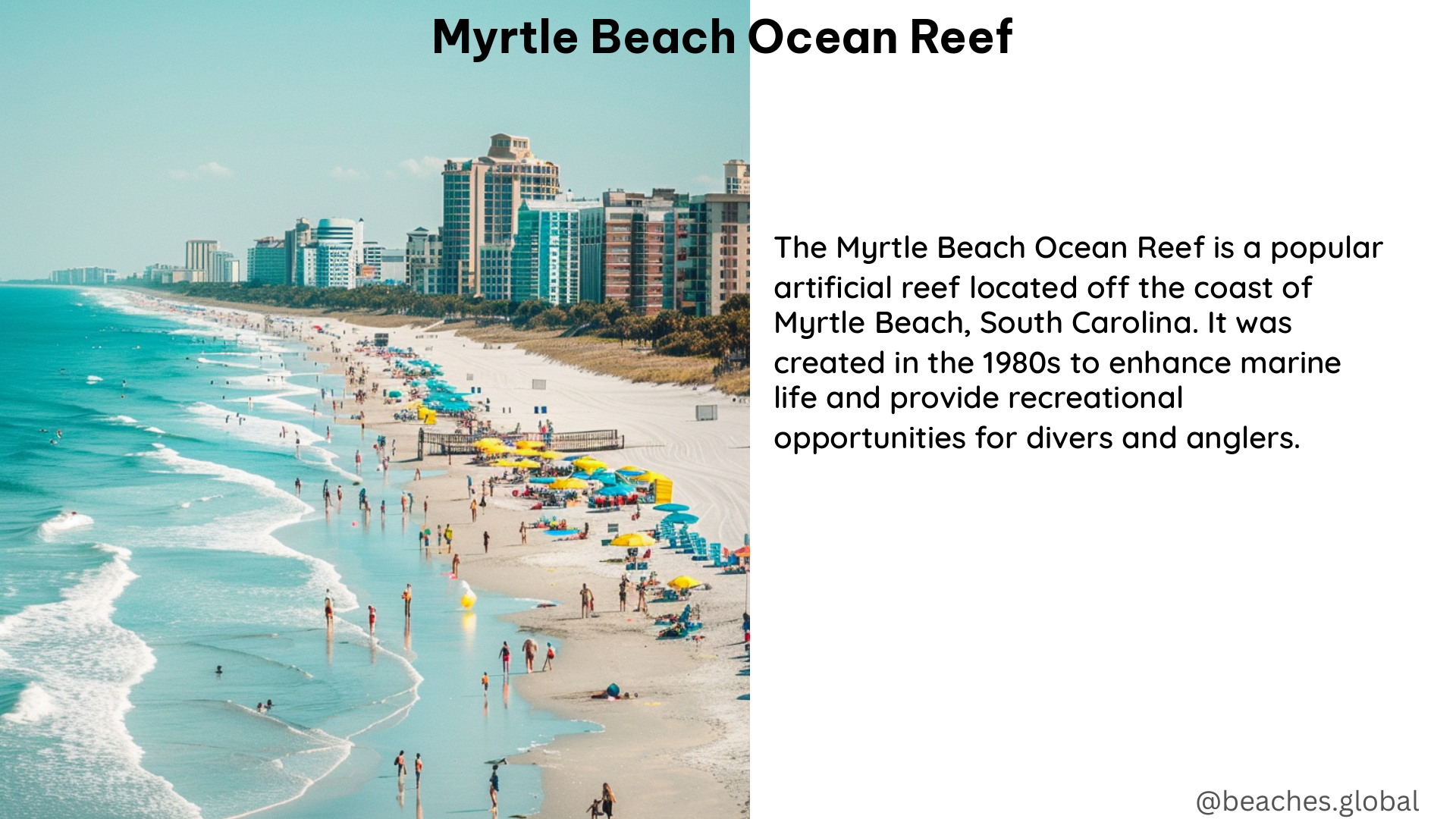 myrtle beach ocean reef 