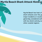 myrtle beach shark attack history 1