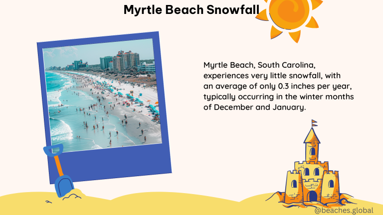 myrtle beach snowfall