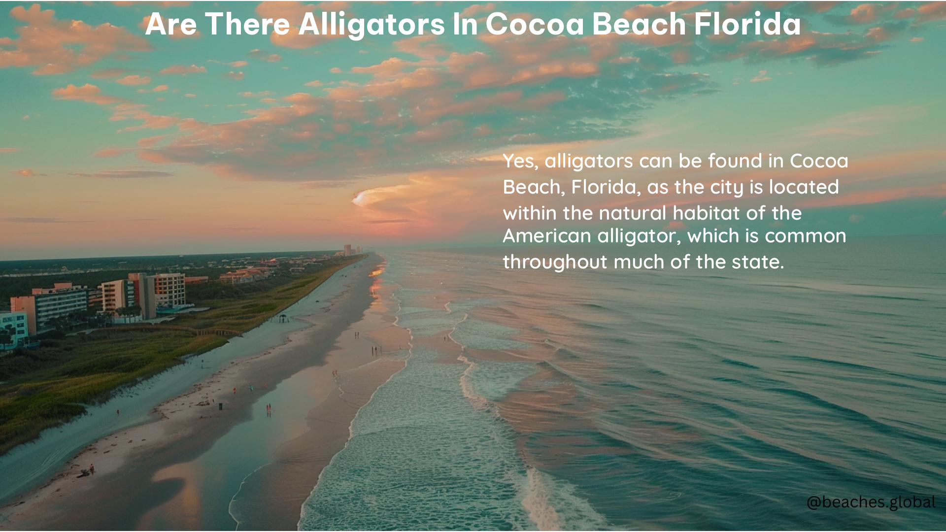 Are There Alligators in Cocoa Beach Florida