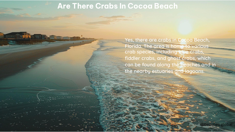 Are There Crabs in Cocoa Beach