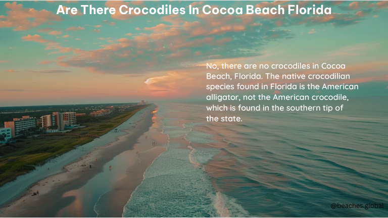 Are There Crocodiles in Cocoa Beach Florida