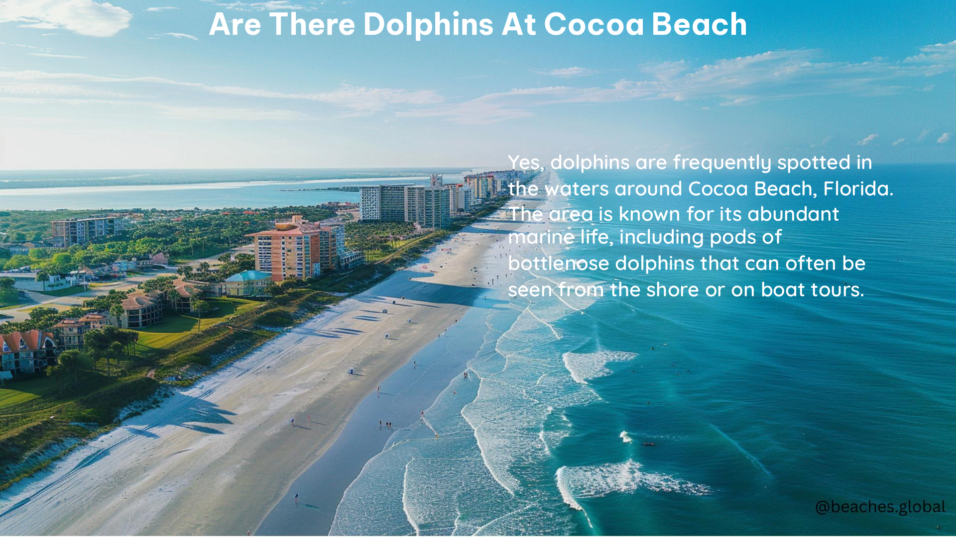 Are There Dolphins at Cocoa Beach