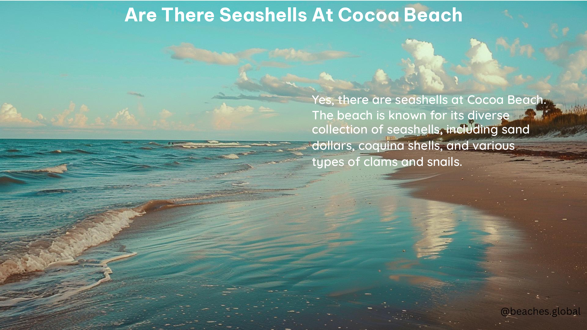 Are There Seashells at Cocoa Beach