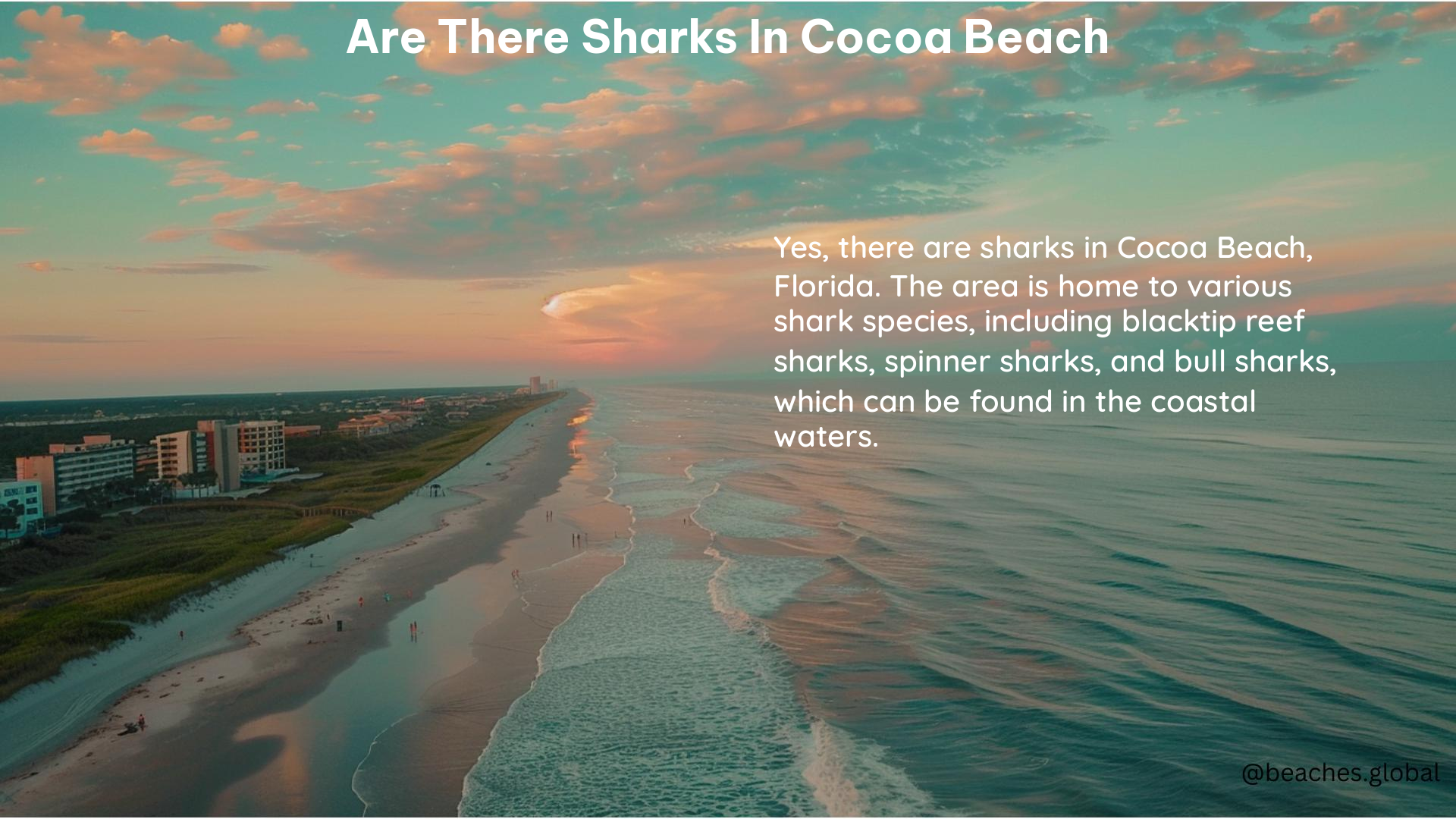 Are There Sharks in Cocoa Beach