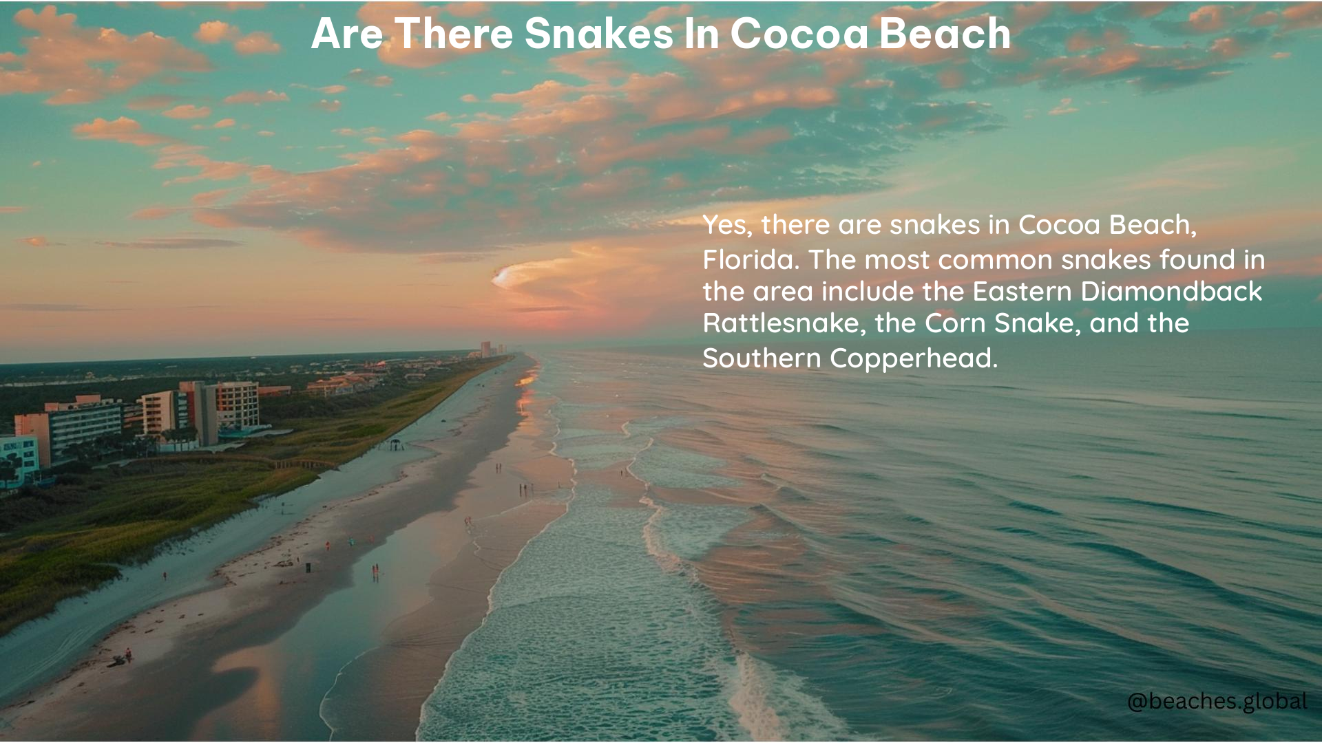 Are There Snakes in Cocoa Beach