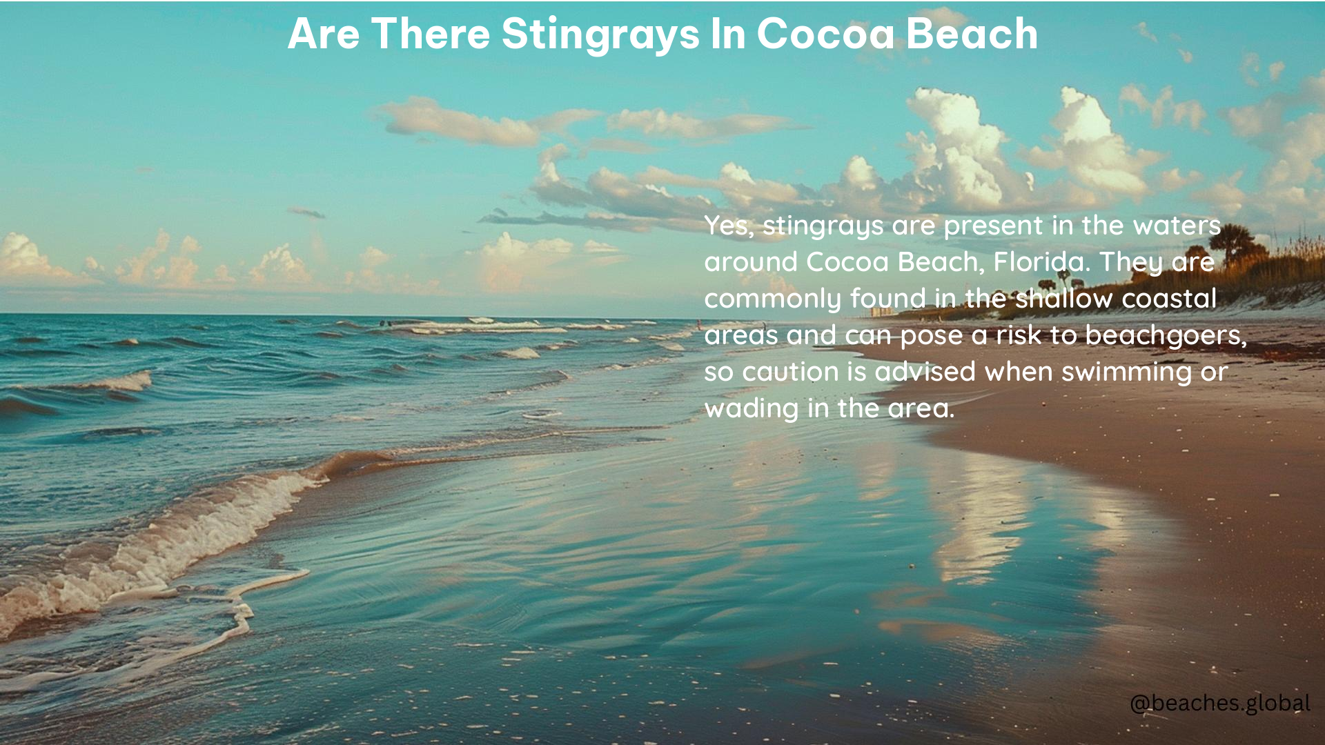 Are There Stingrays in Cocoa Beach