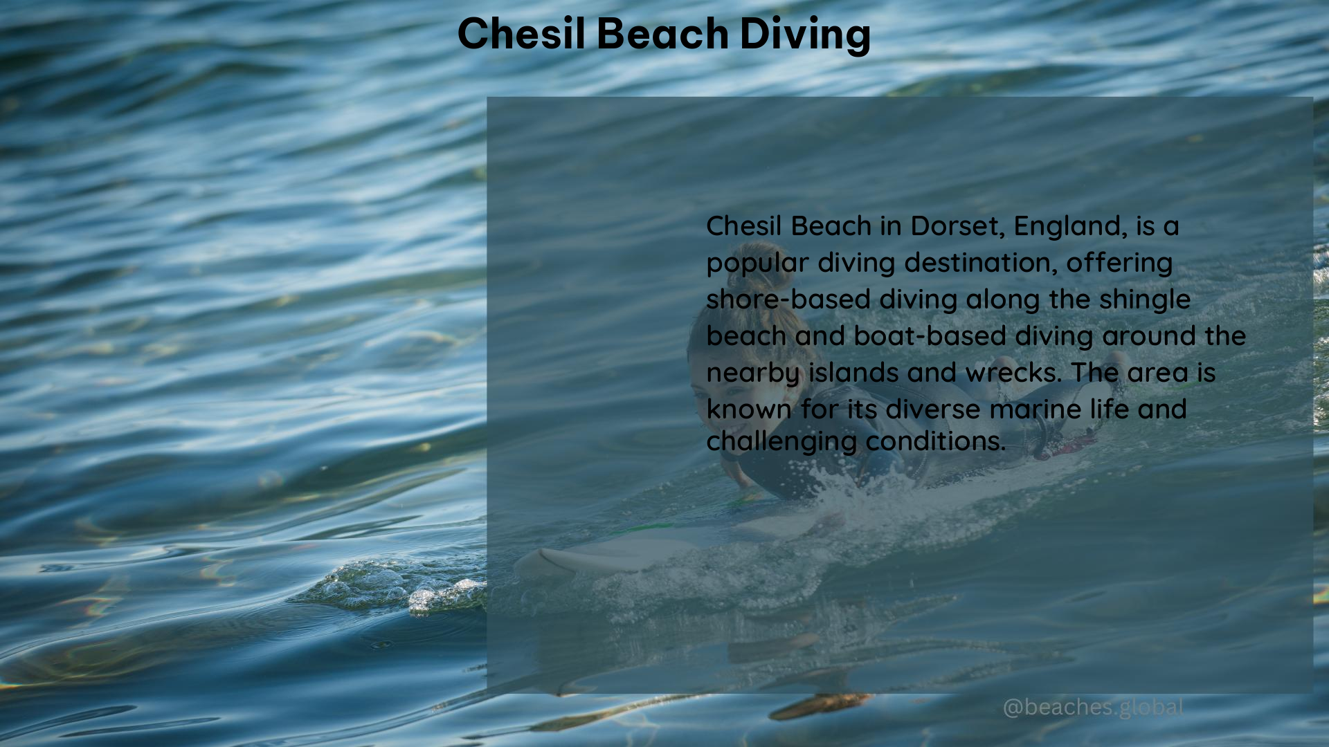 Chesil Beach Diving