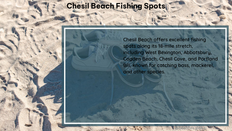 Chesil Beach Fishing Spots