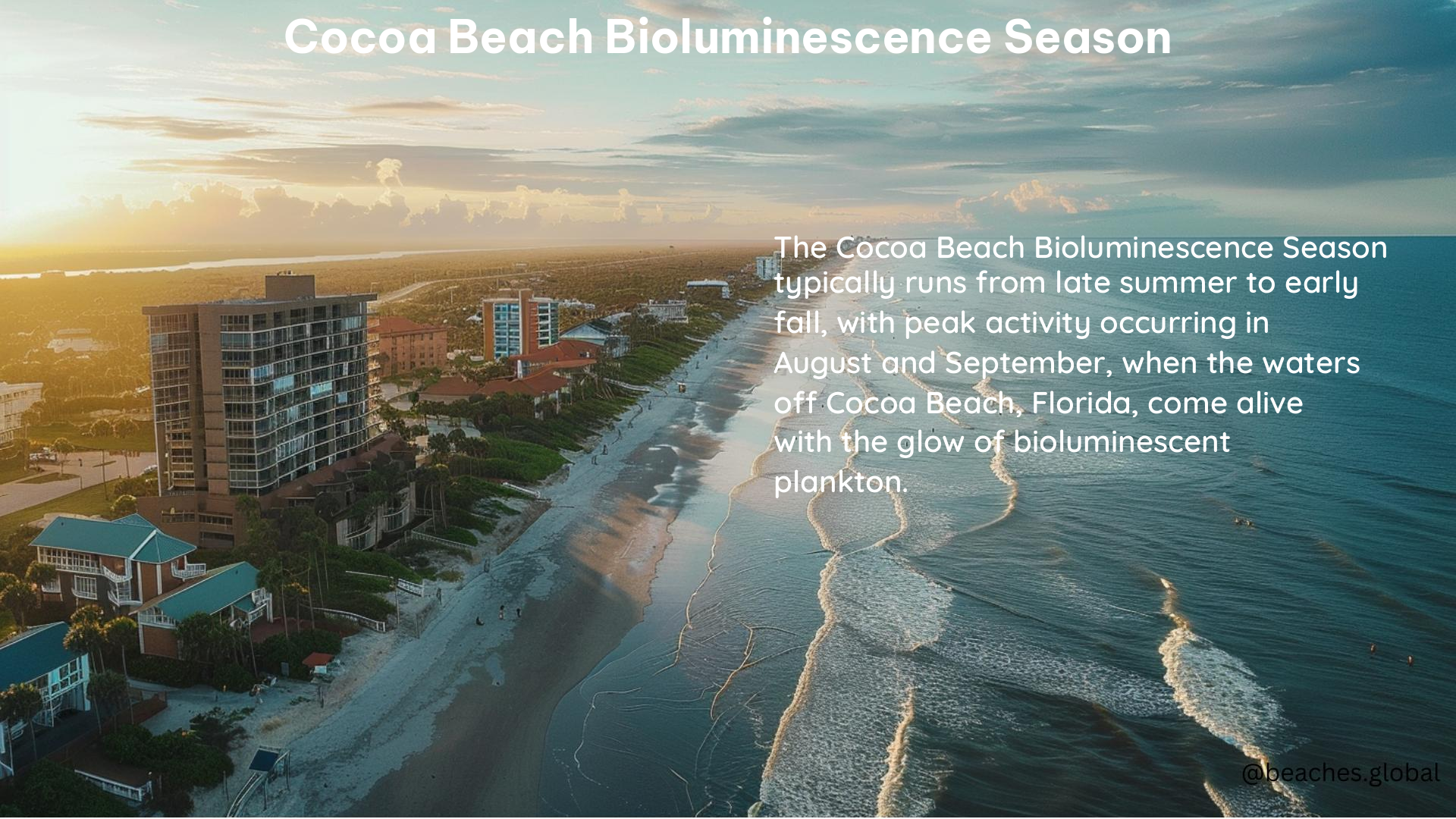 Cocoa Beach Bioluminescence Season