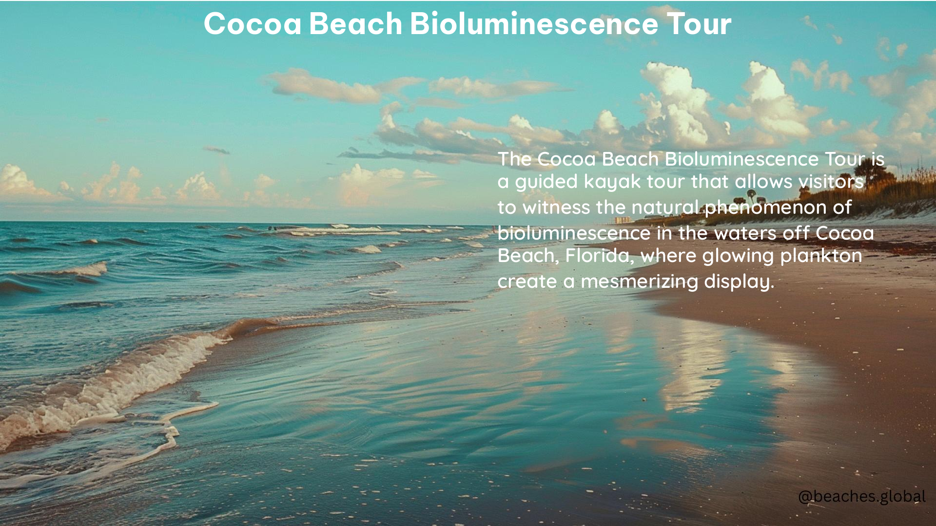 Cocoa Beach Bioluminescence Tour