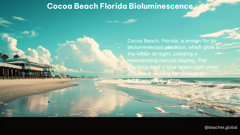 Cocoa Beach Florida Bioluminescence