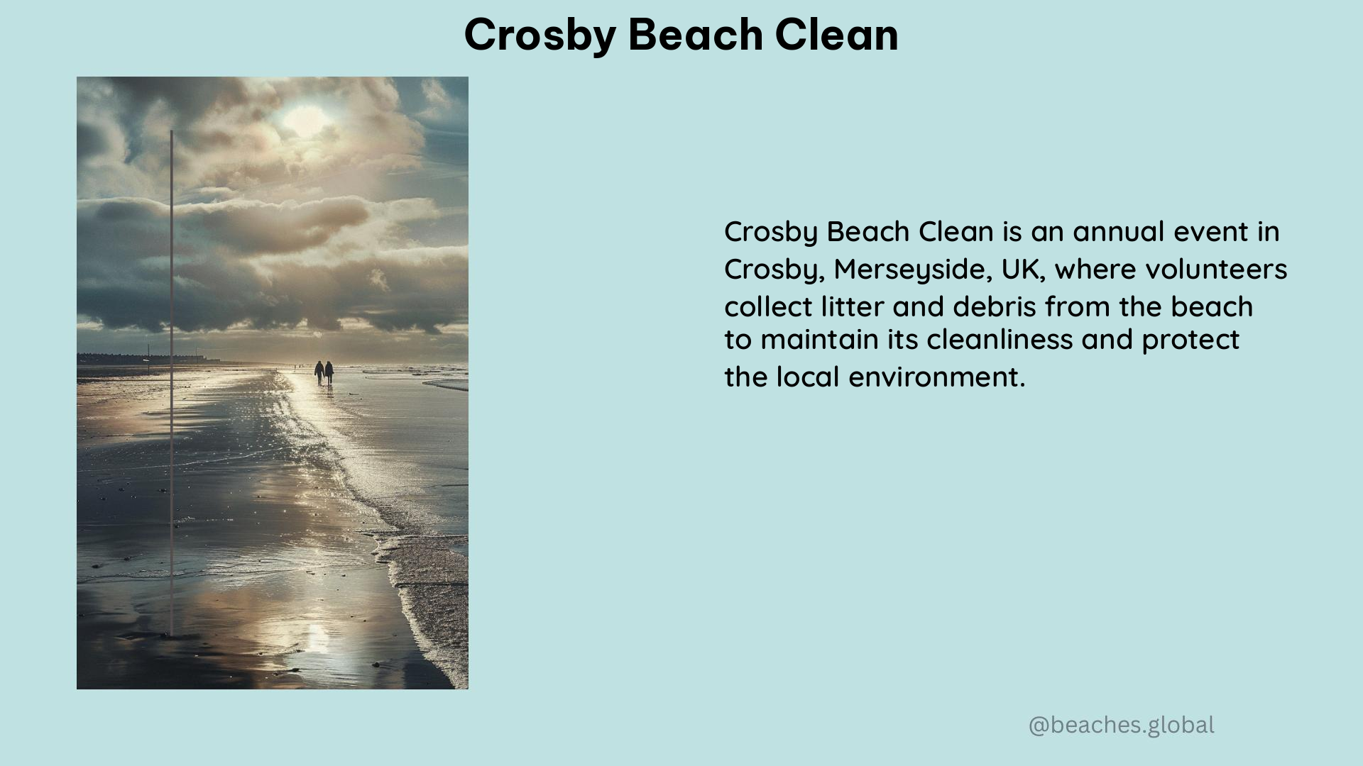 Crosby Beach Clean