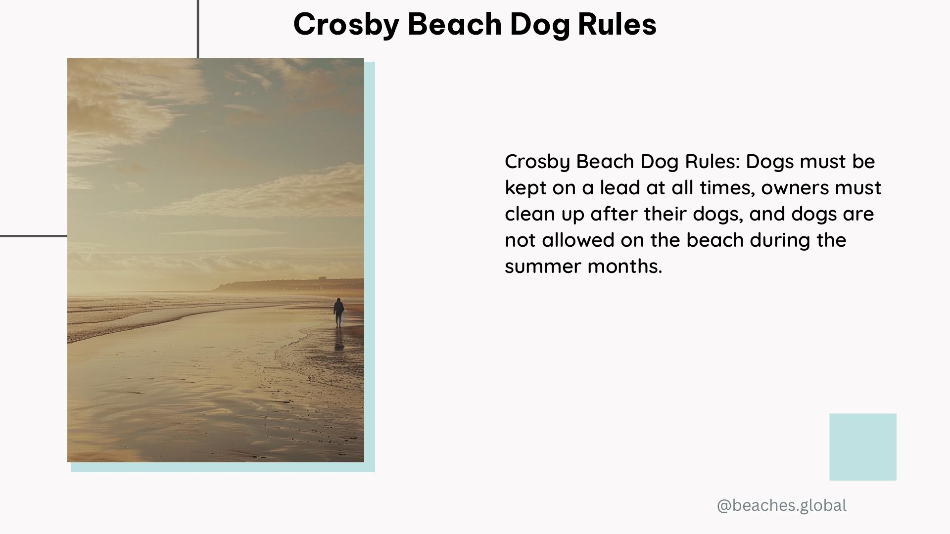 Crosby Beach Dog Rules