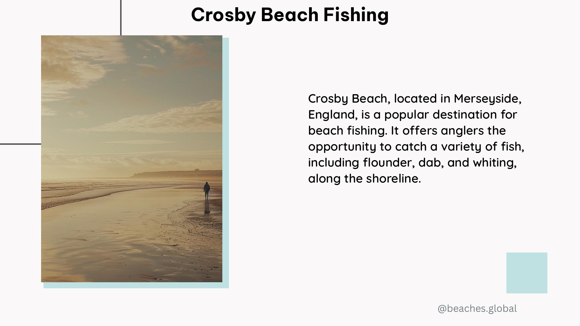 Crosby Beach Fishing