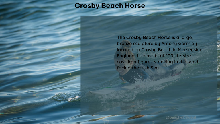 Crosby Beach Horse