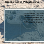 Crosby Beach Volunteering