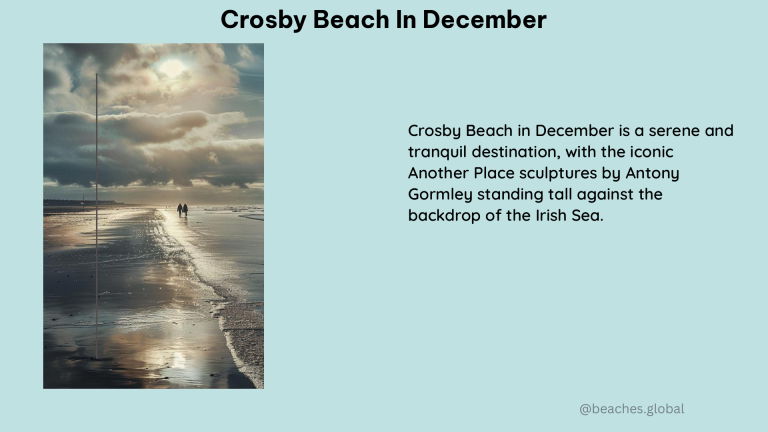 Crosby Beach in December