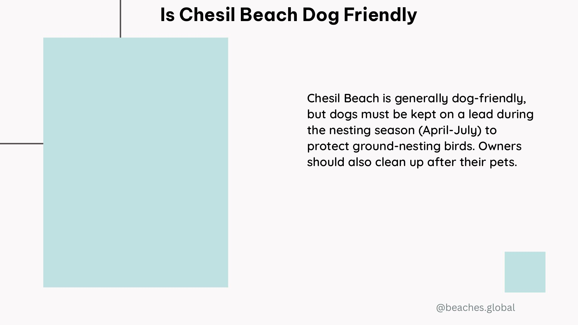 Is Chesil Beach Dog Friendly