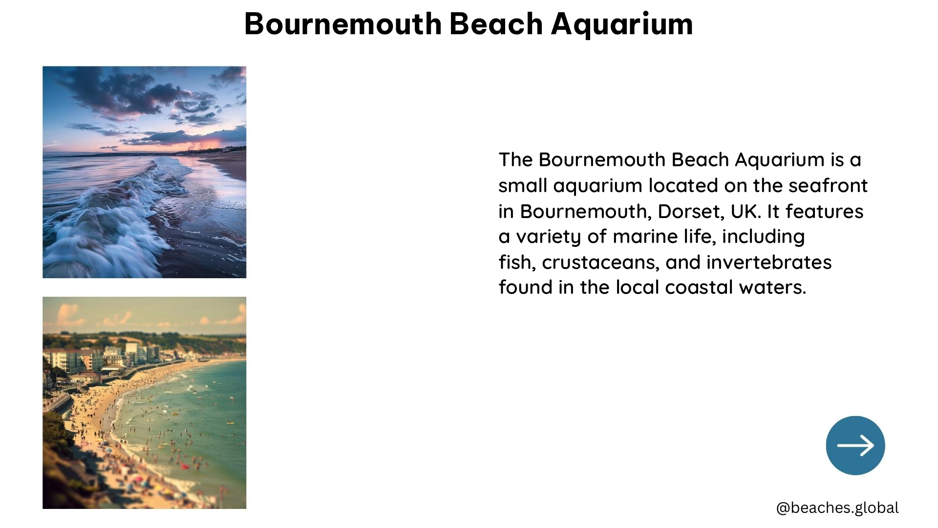 bournemouth beach aquarium