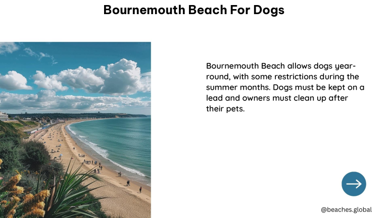 bournemouth beach for dogs