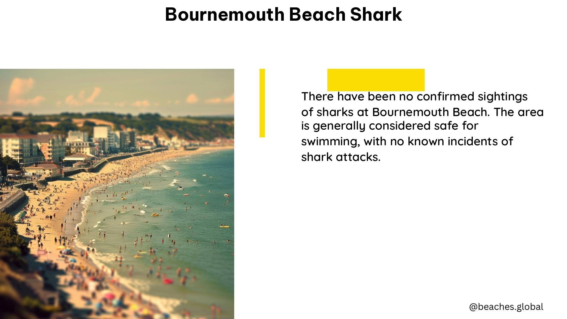 bournemouth beach shark