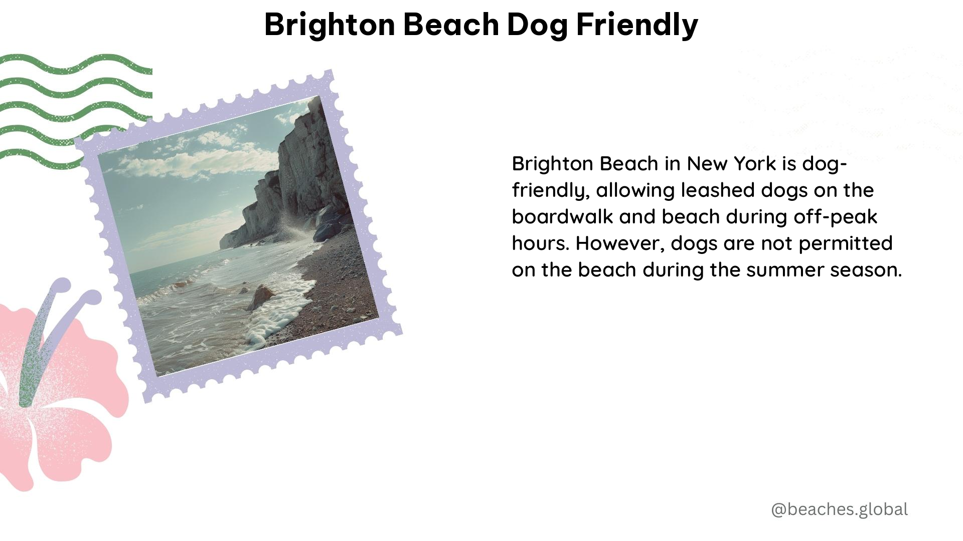 brighton beach dog friendly