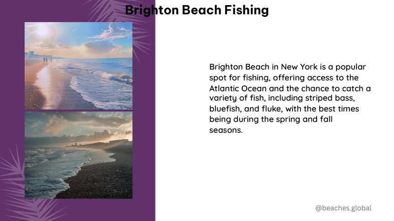 brighton beach fishing