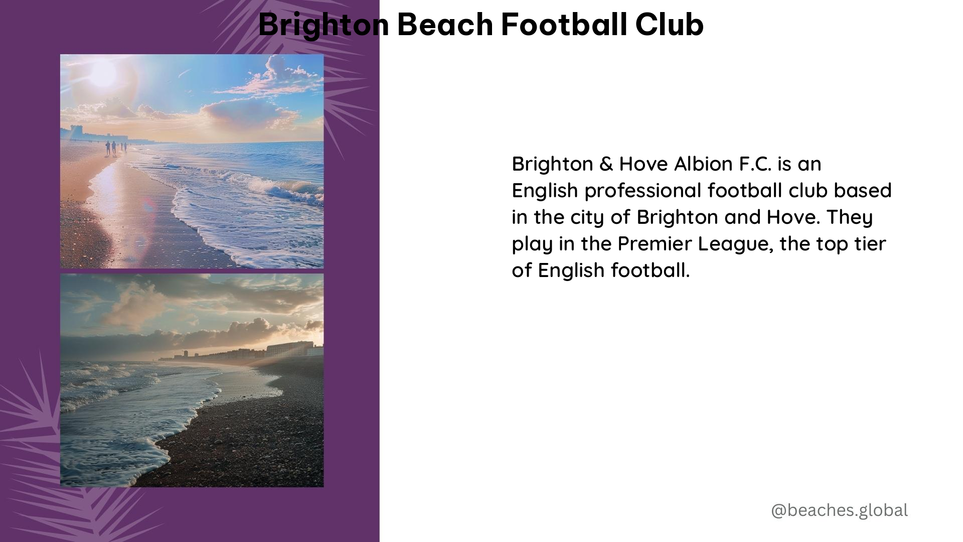 brighton beach football club