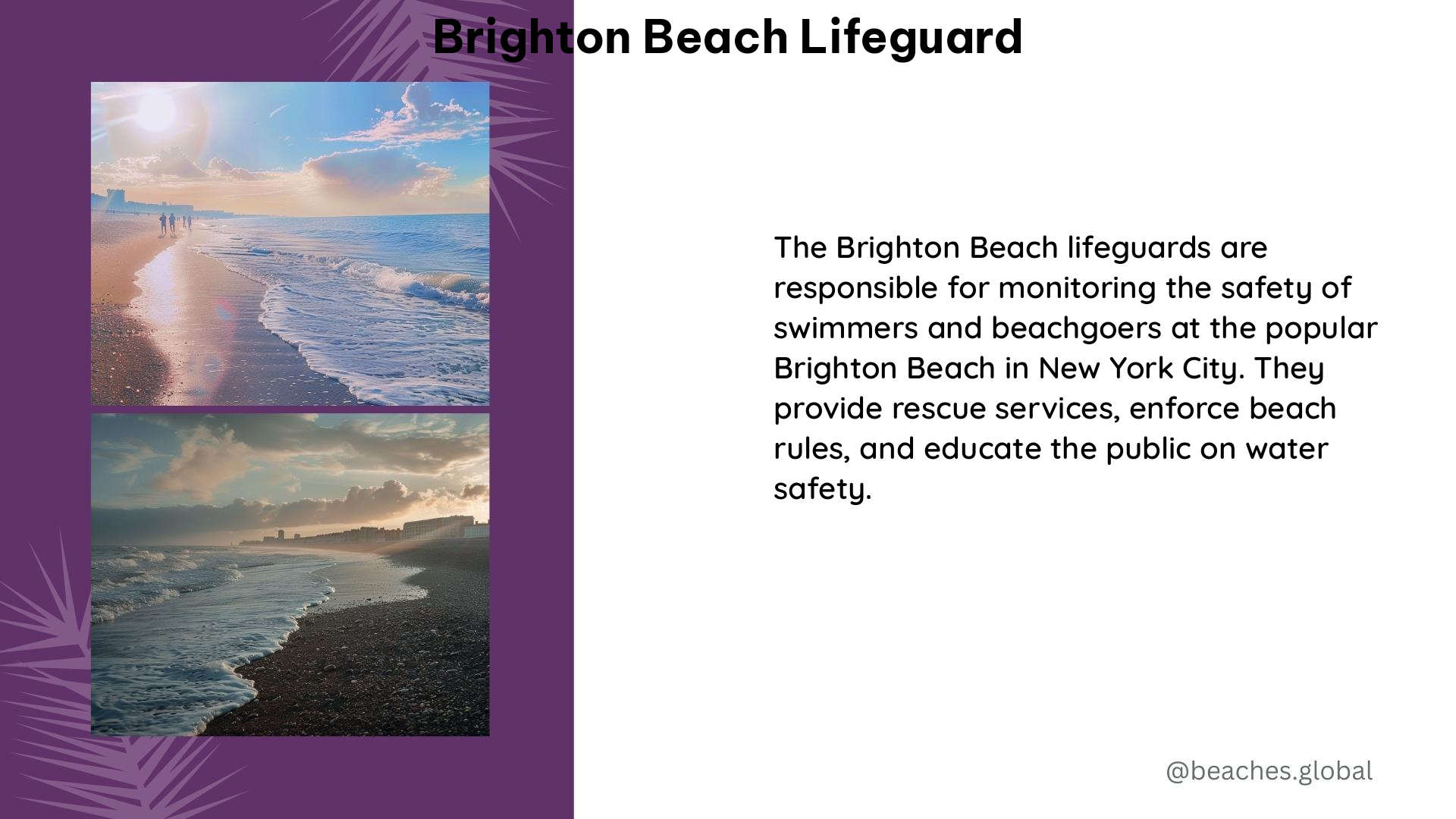 brighton beach lifeguard