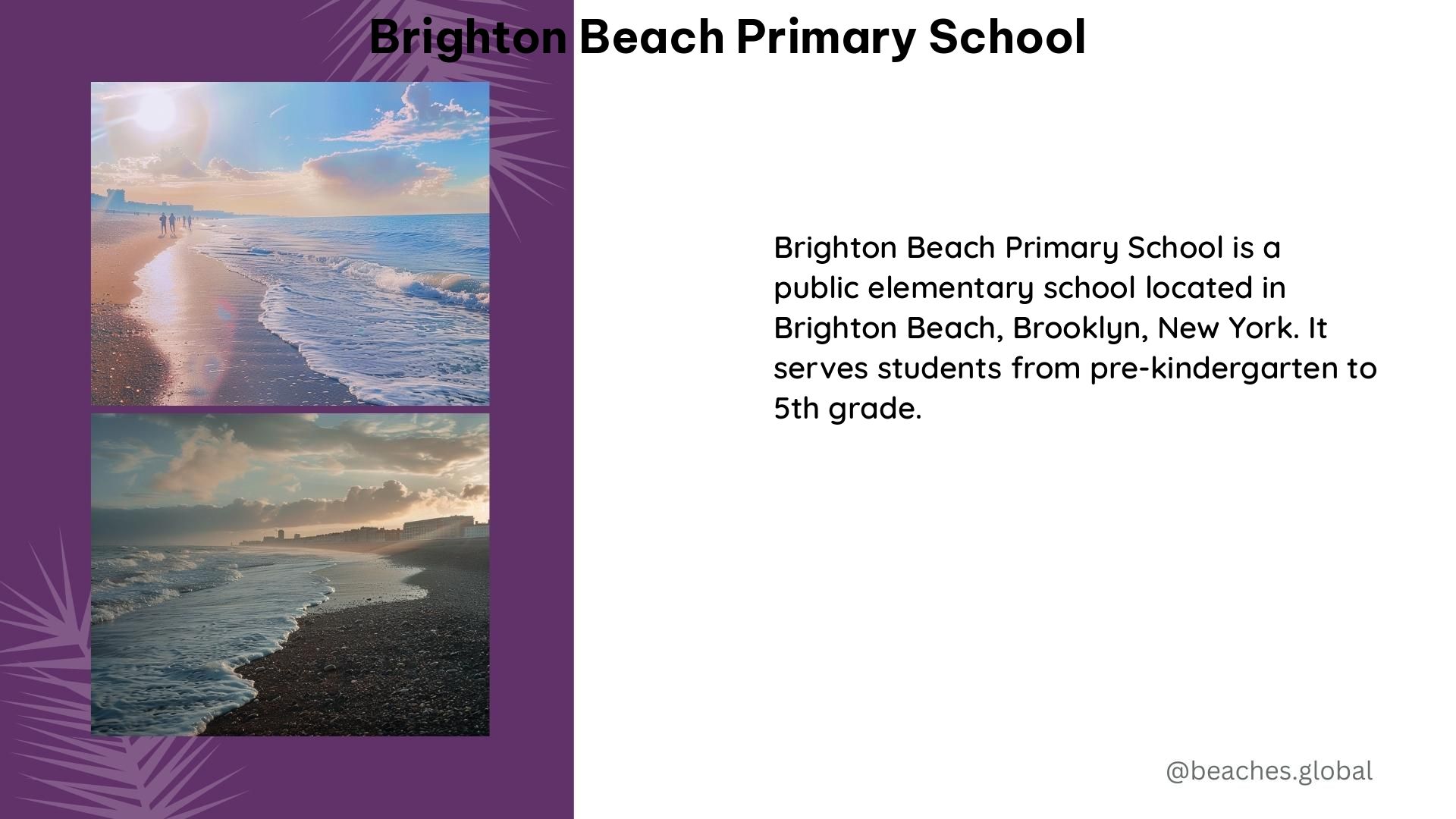 brighton beach primary school