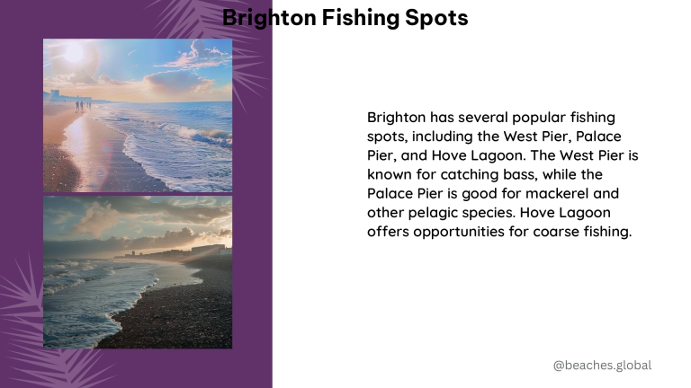 brighton fishing spots 1