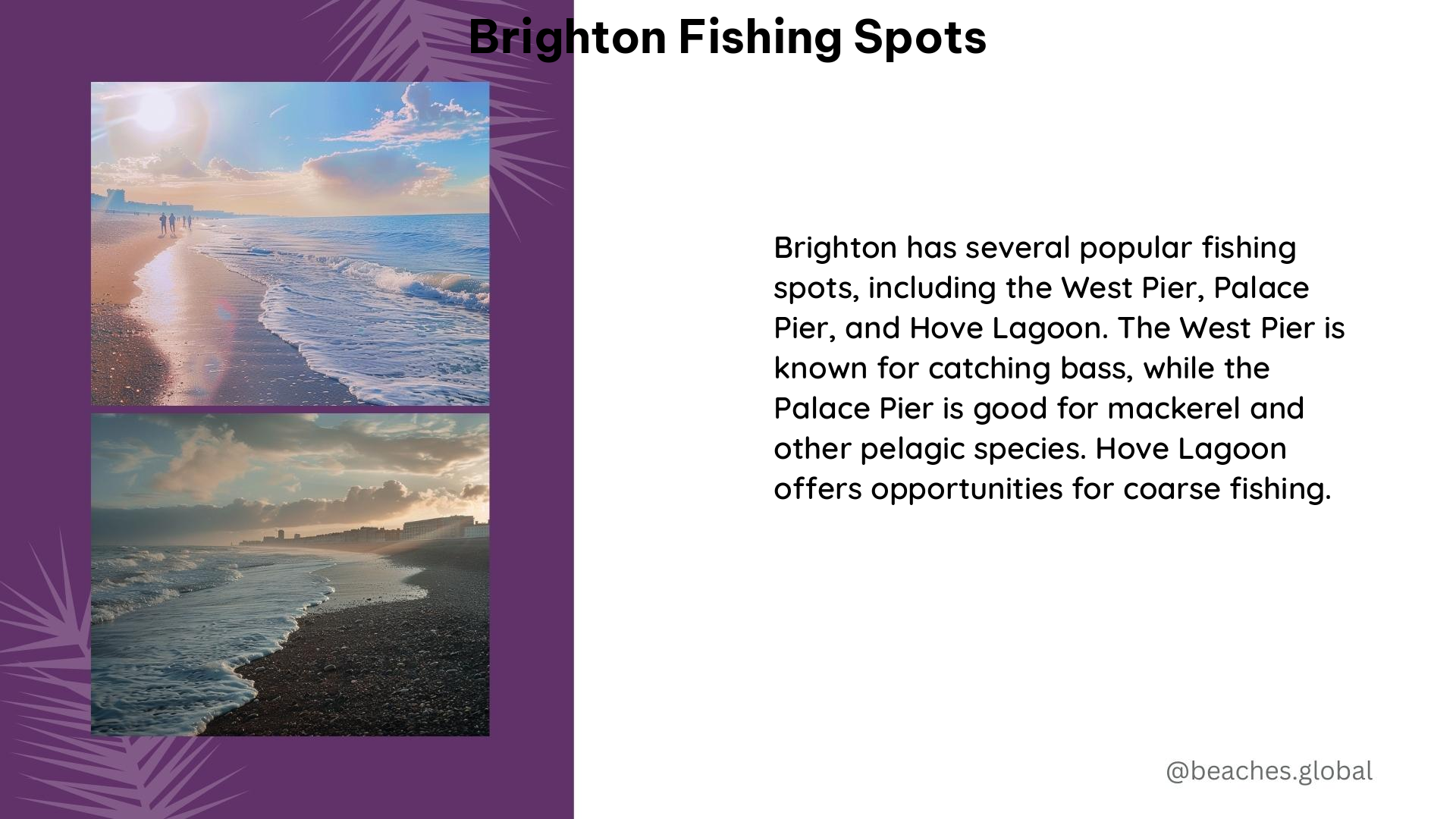 brighton fishing spots