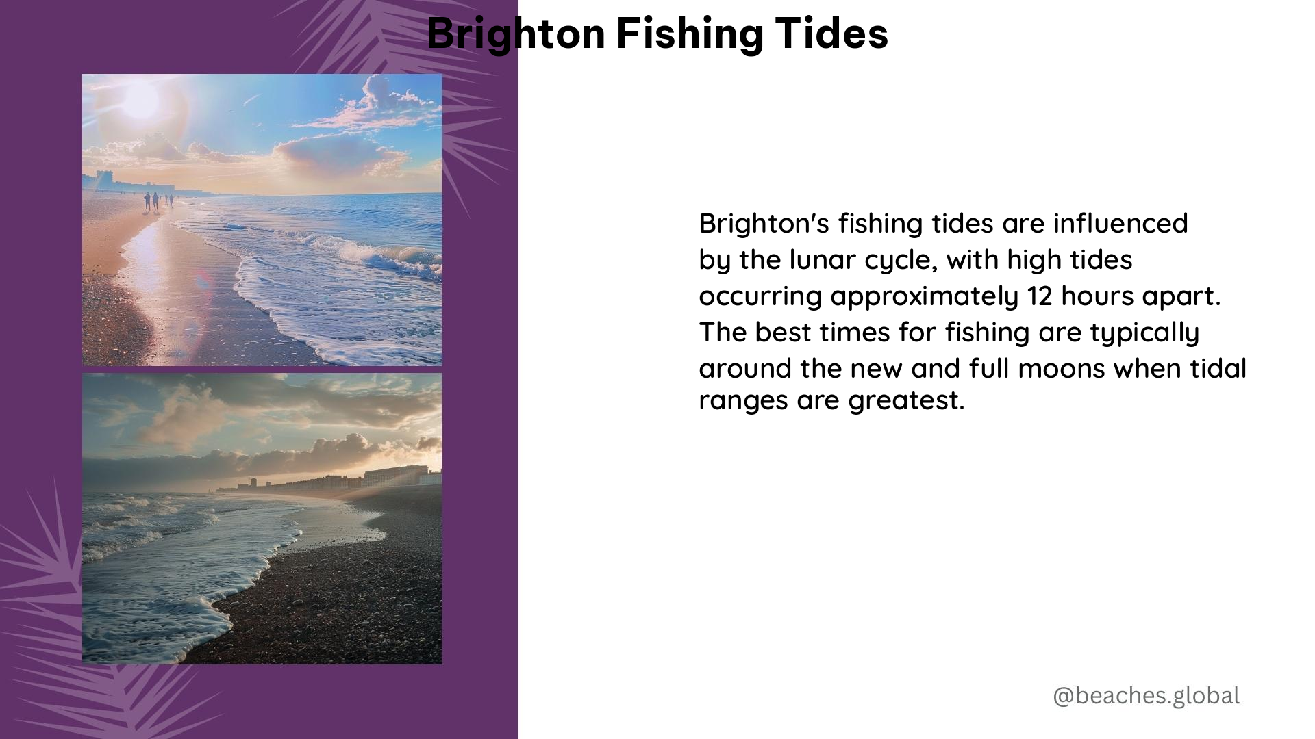 brighton fishing tides