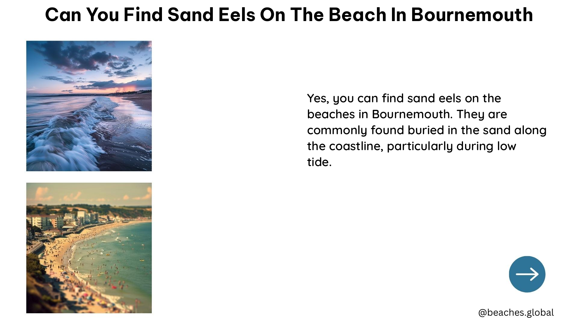 can you find sand eels on the beach in bournemouth