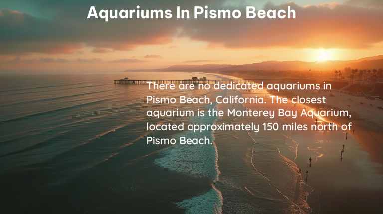 aquariums in pismo beach