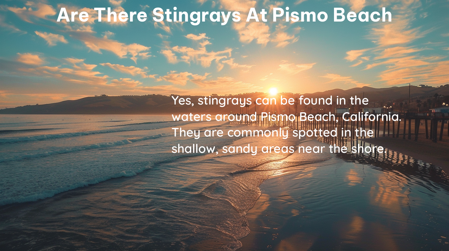 are there stingrays at pismo beach