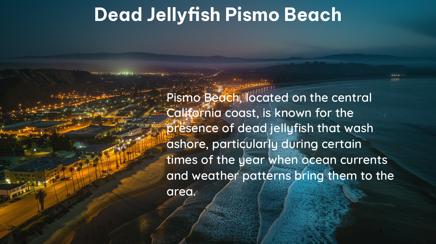 dead jellyfish pismo beach