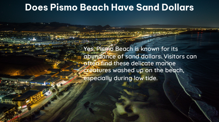 does pismo beach have sand dollars