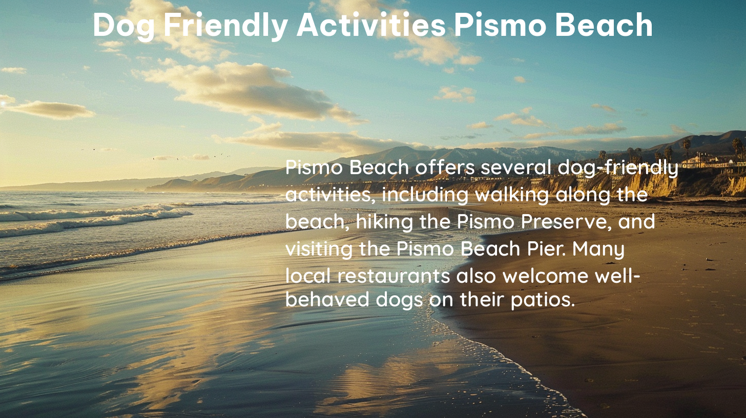 dog friendly activities pismo beach