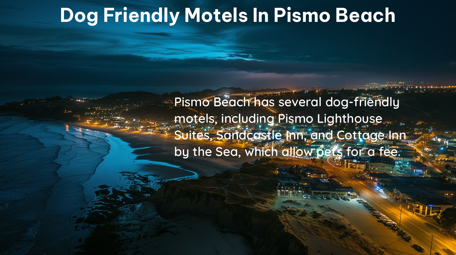 dog friendly motels in pismo beach