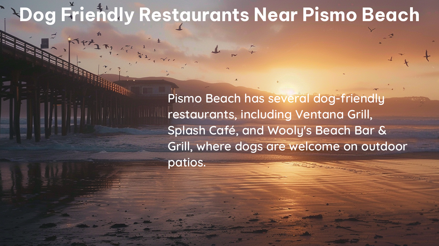 dog friendly restaurants near pismo beach