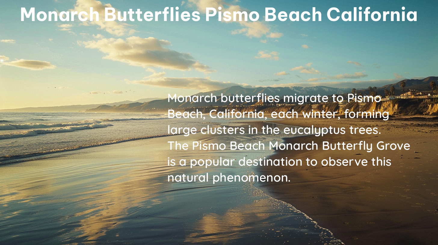 monarch butterflies pismo beach california