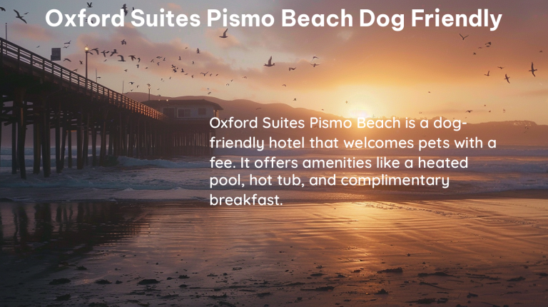 oxford suites pismo beach dog friendly