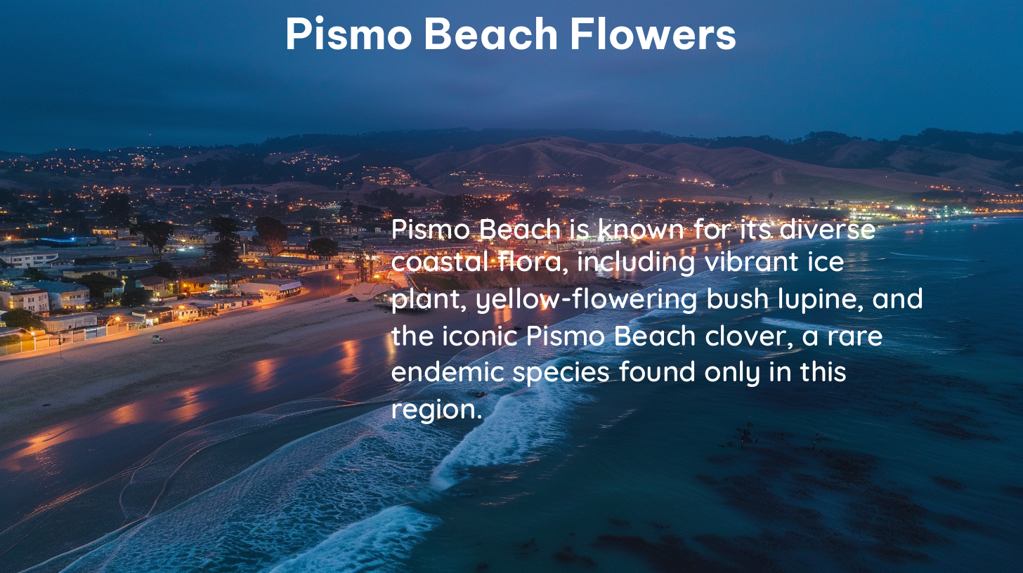 pismo beach flowers