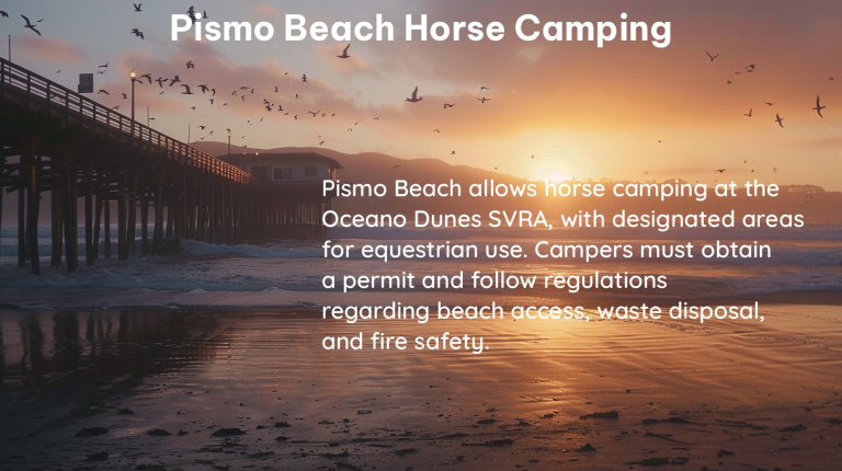 pismo beach horse camping