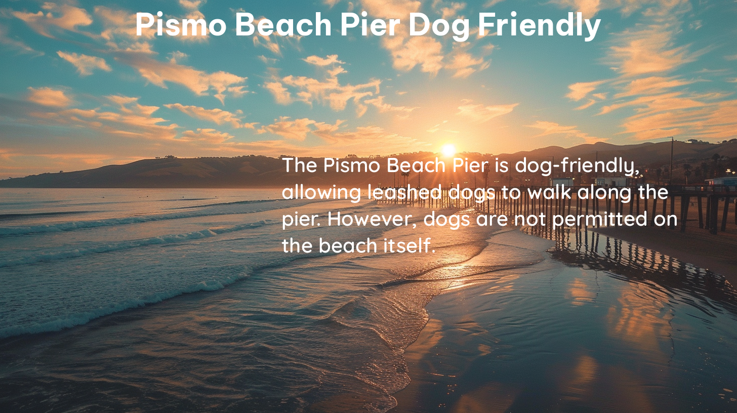 pismo beach pier dog friendly