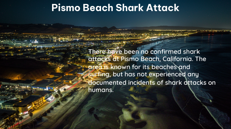 pismo beach shark attack